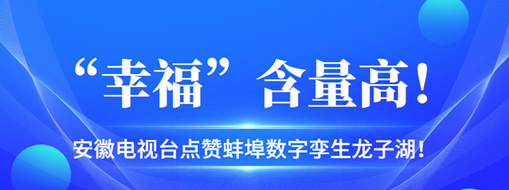?“幸福”含量高，安徽電視臺點(diǎn)贊蚌埠數(shù)字孿生龍子湖！